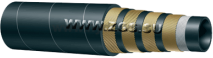 4sn_1.png 4sn_1.png